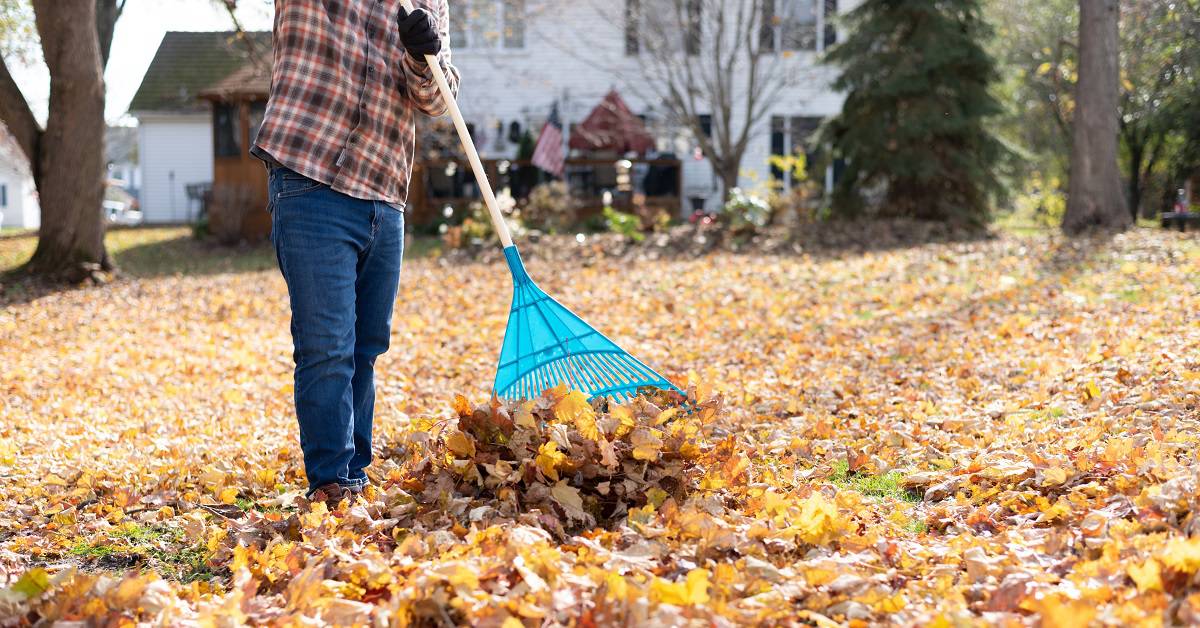 How to Work Out in Your Garden