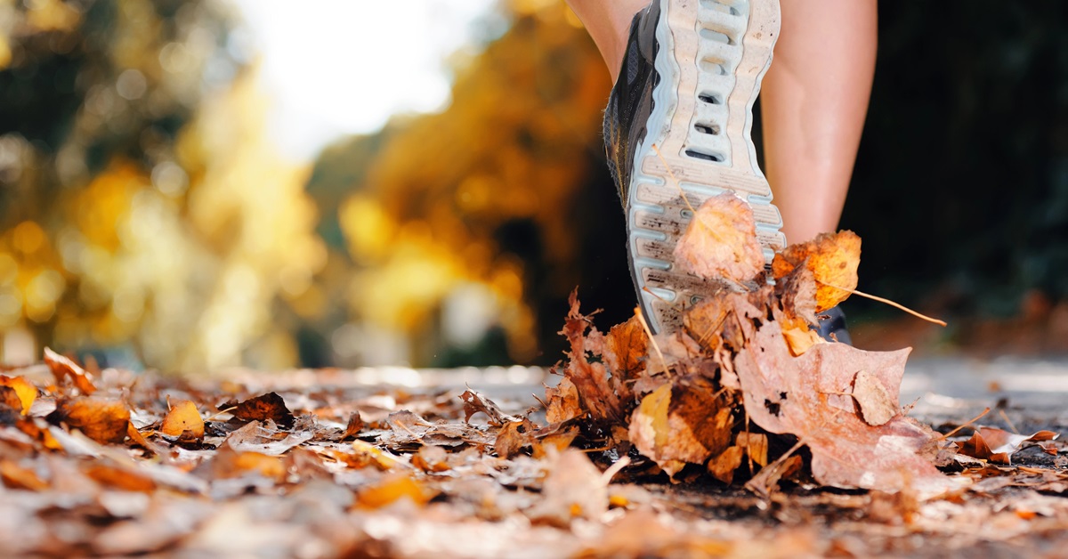 Boosting Autumn Energy Levels: Harnessing the Power of Strength and Conditioning